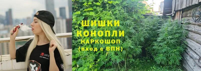 наркотики  Новосиль  Бошки марихуана LSD WEED 